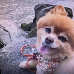 Meet your Posher, Chloe